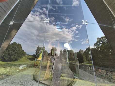 Arkliarūgštės lauke prieš ir po herbicidinio apdorojimo.