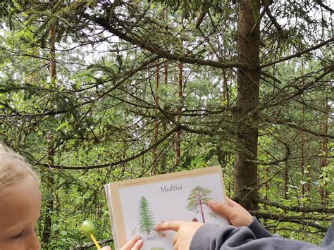 vaikas tyrinėja miško augalus