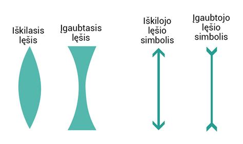 schematinis brėžinys kaip veikia niplette