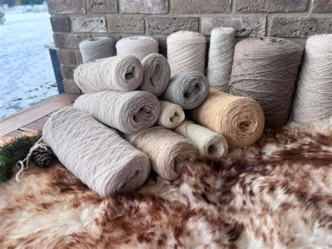 Avies ir ėriuko portretas