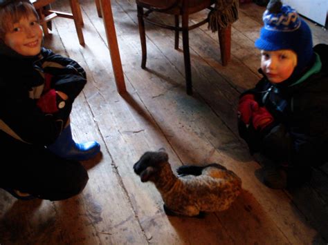 Ūkininkas maitina ėriuką iš buteliuko