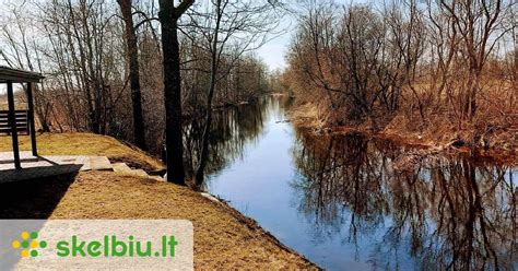 Žvejybos įrankiai ant upės kranto