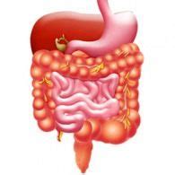 Dažniausi virškinimo trakto sutrikimai nėštumo metu