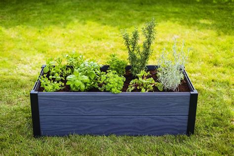 Moderniai įrengtos pakeltos lysvės su įvairiais augalais