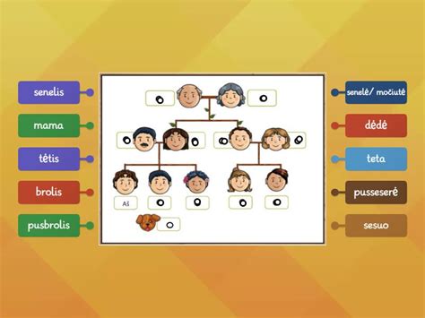 šeimos diagrama su rizikos faktoriais