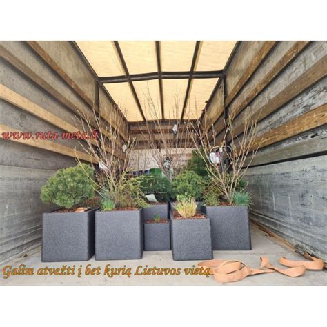 Idėjos lauko daržo pertvarų dizainui su augalais