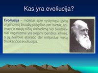 Biologijos evoliucijos medžio iliustracija
