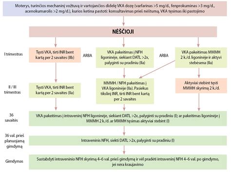 Vaistų vartojimo nėštumo metu rizika