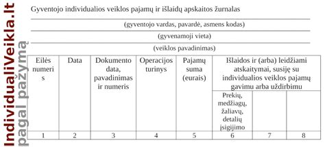 Grafikas, iliustruojantis individualios veiklos požymius: savarankiškumas, tęstinumas, pajamų siekis.