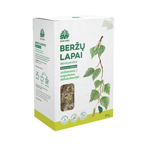 Beržų lapai ir pumpurai