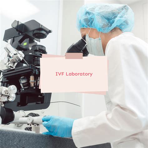 scheminis IVF procedūros pavaizdavimas