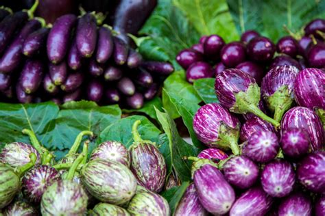 Dekoratyvūs baklažanų žiedai