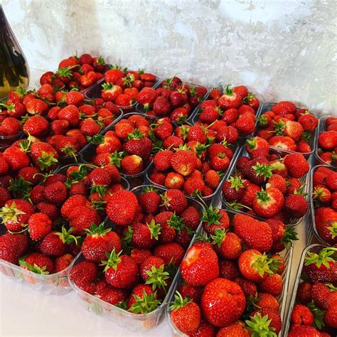 Šviežiai skintos braškės