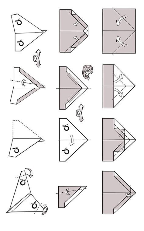 sraigės ant popieriaus