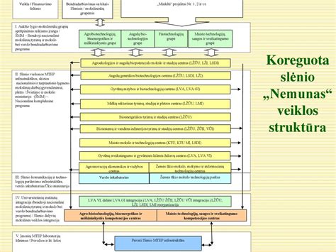 VP grupės akcininkų schema