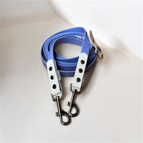 Įvairūs dresūros aksesuarai šunims