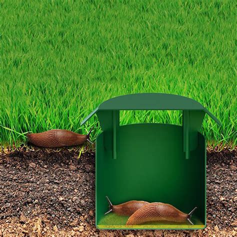 Šliužų gaudyklė su alumi