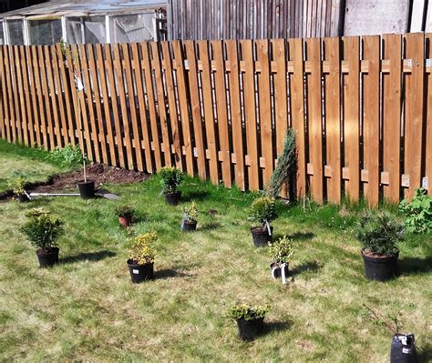 Daržo lysvių paruošimas pavasarį