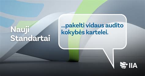 Statistika apie vidaus audito taikymą