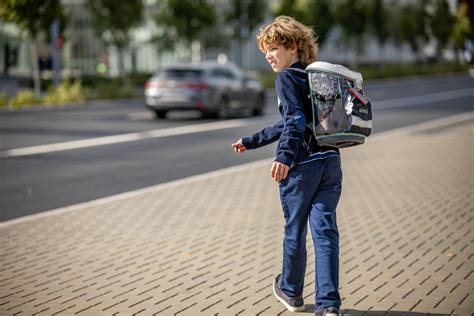 vaikas su edukacinėmis kortelėmis