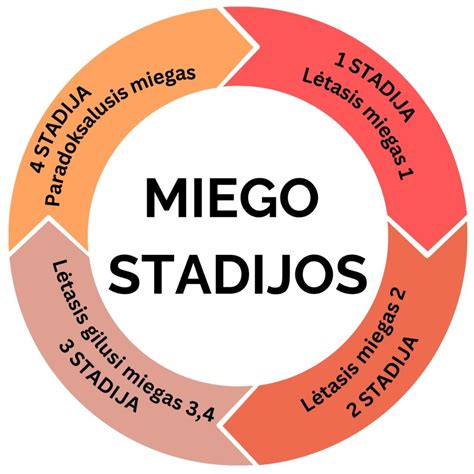 Miego ciklo diagrama