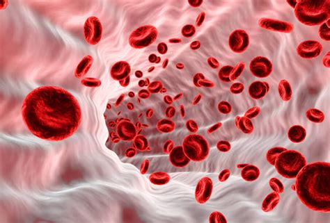 Vizualizacija kaip hemoglobinas perneša deguonį raudonuosiuose kraujo kūneliuose