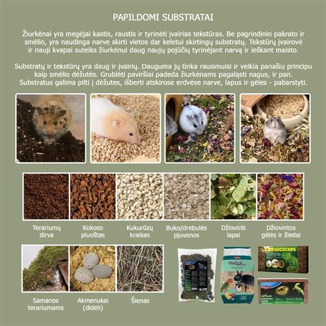 Infografika su hemoglobino normomis skirtingais nėštumo trimestrais