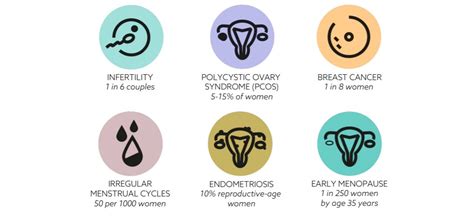Įvairios priemonės moterų reprodukcinei sveikatai