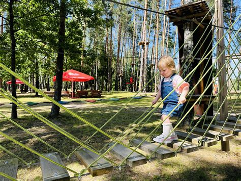 Nuotykių parko trasos medžiuose