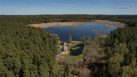 Žirgynas miško apsuptyje