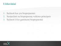 scheminis imuninės sistemos veikimo principas