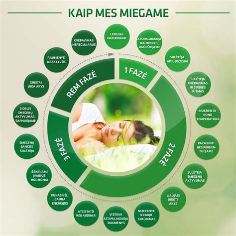 naujagimio miego fazės