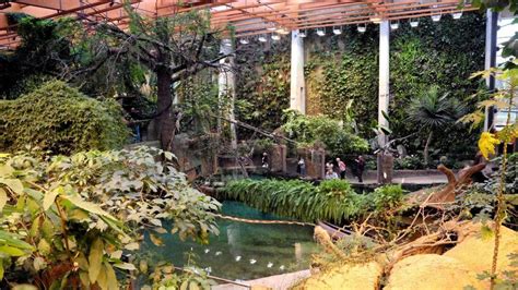 Afrikariumas Vroclavo zoologijos sode