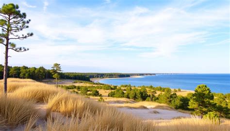 Nidos panorama su Kuršių nerija
