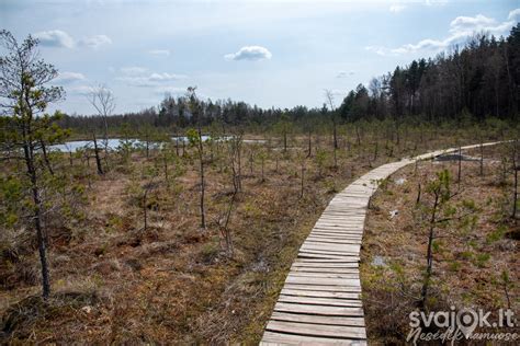 pėsčiųjų takas per Vyžiuonaičio ežerą