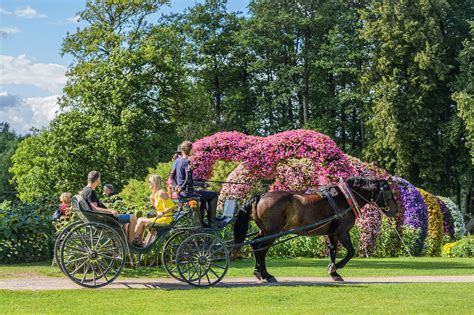 žirgo traukiama karieta