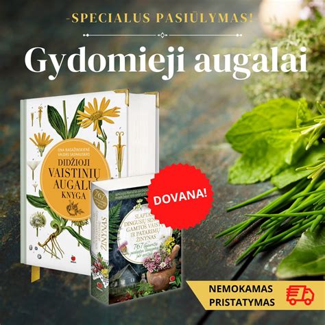 Vaistinių augalų rinkinys: imbieras, mėtos, ramunėlės