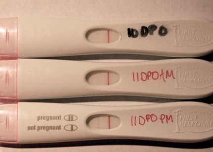 Diagrama: Kaip atrodo teigiamas ir neigiamas nėštumo testo rezultatas