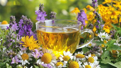 Hormonų poveikis krūtims nėštumo metu