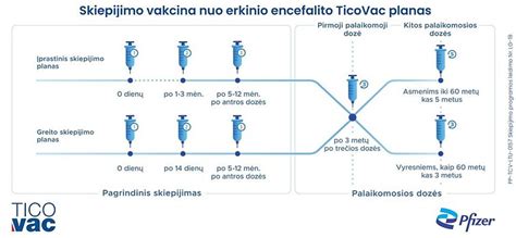 vakcinacijos nuo vėjaraupių schema