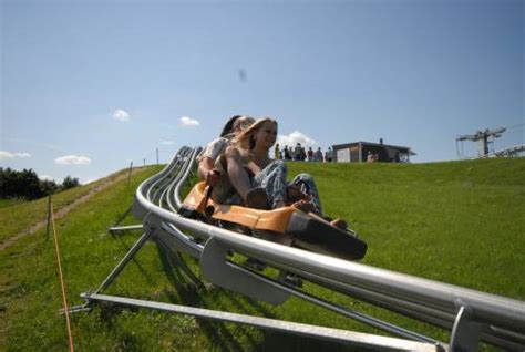 Vasaros rogučių trasa ant Kalitos kalno