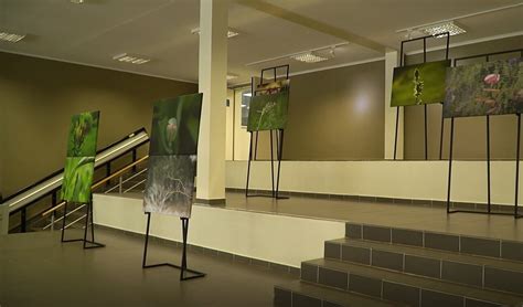 Menų inkubatorius Anykščiuose