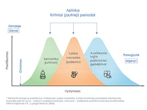 Vaiko fizinio vystymosi schema