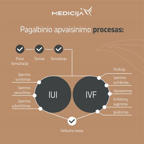 Apvaisinimo mėgintuvėlyje procesas