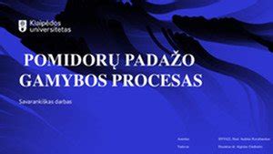 Infografika: Olandiško padažo gamybos žingsniai