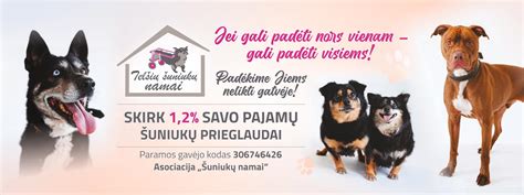 Gyvūnų globos namų darbuotojai prižiūri šunį