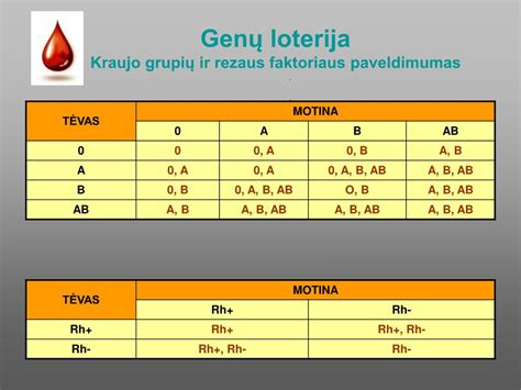 Schematinis žmogaus kraujo grupių ir rezus faktoriaus vaizdavimas