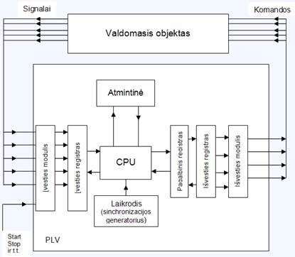 Asmens kodų sandaros schema