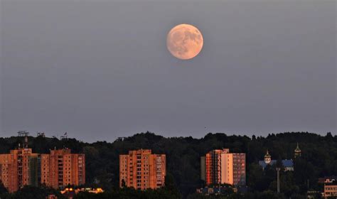 Mėnulio pilnatis virš miško