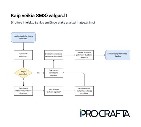 Diagrama, kaip veikia slapukai